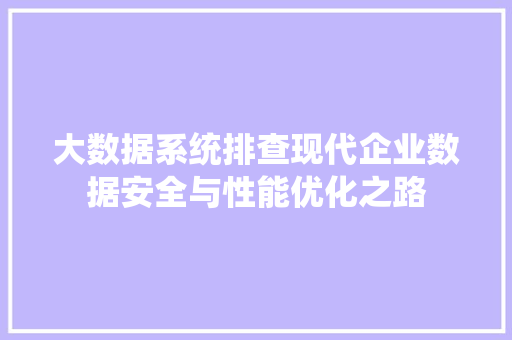 大数据系统排查现代企业数据安全与性能优化之路  第1张