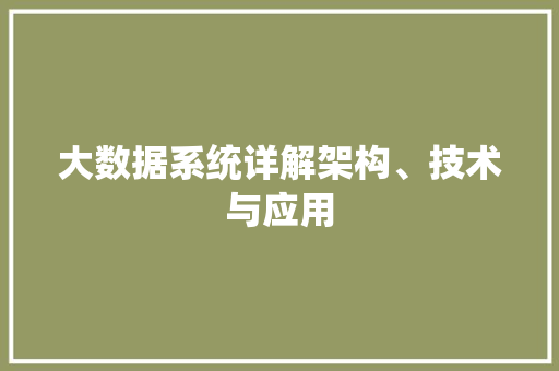 大数据系统详解架构、技术与应用  第1张