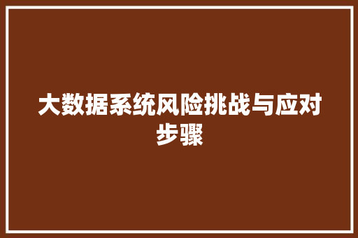 大数据系统风险挑战与应对步骤  第1张