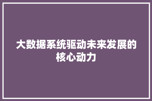 大数据系统驱动未来发展的核心动力  第1张