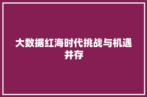 大数据红海时代挑战与机遇并存