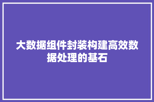 大数据组件封装构建高效数据处理的基石