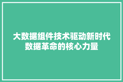 大数据组件技术驱动新时代数据革命的核心力量  第1张