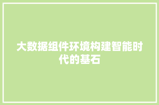 大数据组件环境构建智能时代的基石  第1张