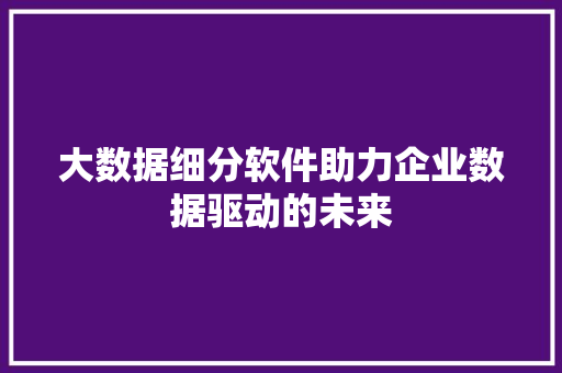 大数据细分软件助力企业数据驱动的未来  第1张