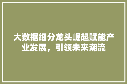 大数据细分龙头崛起赋能产业发展，引领未来潮流  第1张