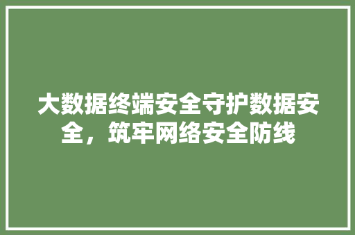 大数据终端安全守护数据安全，筑牢网络安全防线