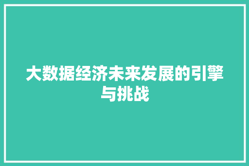 大数据经济未来发展的引擎与挑战