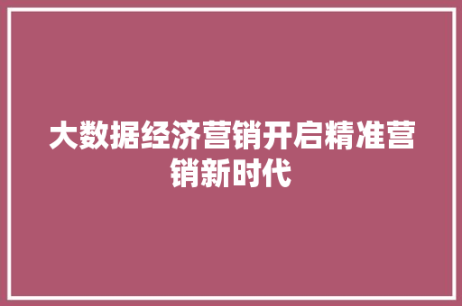 大数据经济营销开启精准营销新时代