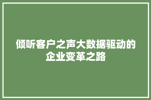 倾听客户之声大数据驱动的企业变革之路