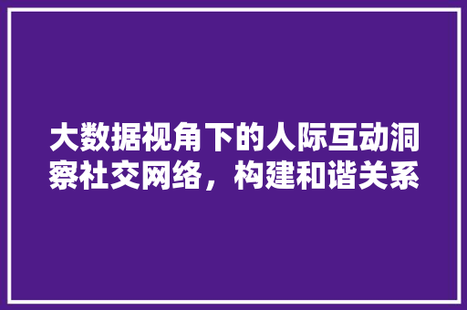 大数据视角下的人际互动洞察社交网络，构建和谐关系
