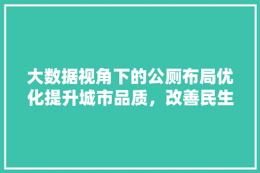 大数据视角下的公厕布局优化提升城市品质，改善民生福祉