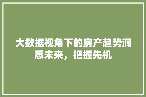 大数据视角下的房产趋势洞悉未来，把握先机  第1张