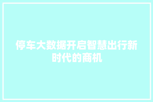 停车大数据开启智慧出行新时代的商机