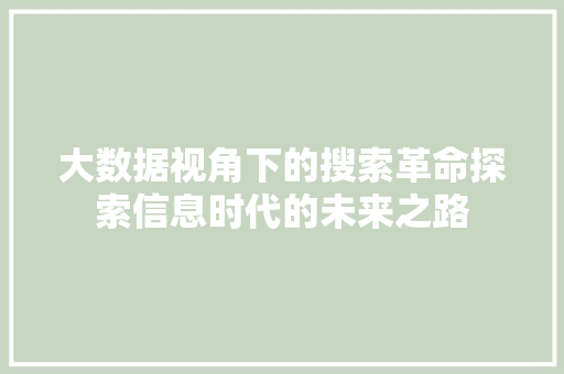 大数据视角下的搜索革命探索信息时代的未来之路  第1张