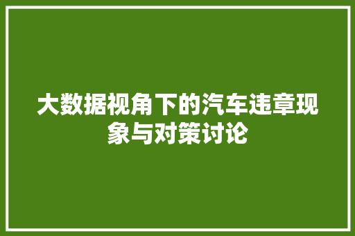 大数据视角下的汽车违章现象与对策讨论