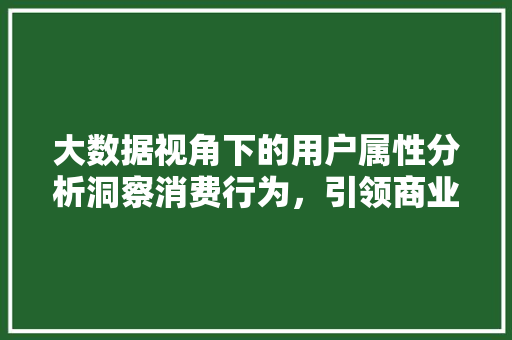 大数据视角下的用户属性分析洞察消费行为，引领商业未来