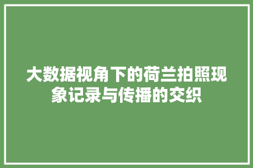 大数据视角下的荷兰拍照现象记录与传播的交织