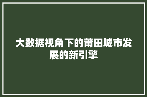 大数据视角下的莆田城市发展的新引擎