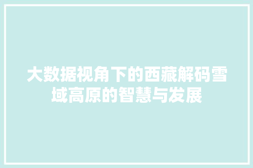 大数据视角下的西藏解码雪域高原的智慧与发展