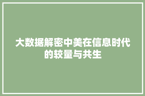 大数据解密中美在信息时代的较量与共生