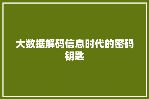 大数据解码信息时代的密码钥匙  第1张