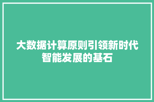 大数据计算原则引领新时代智能发展的基石  第1张