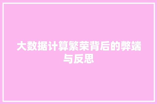 大数据计算繁荣背后的弊端与反思