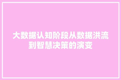 大数据认知阶段从数据洪流到智慧决策的演变