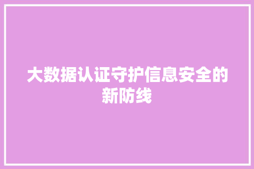 大数据认证守护信息安全的新防线  第1张