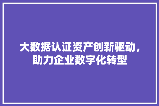 大数据认证资产创新驱动，助力企业数字化转型