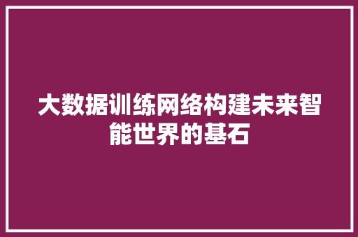 大数据训练网络构建未来智能世界的基石  第1张