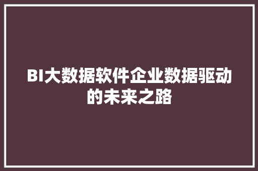 BI大数据软件企业数据驱动的未来之路  第1张