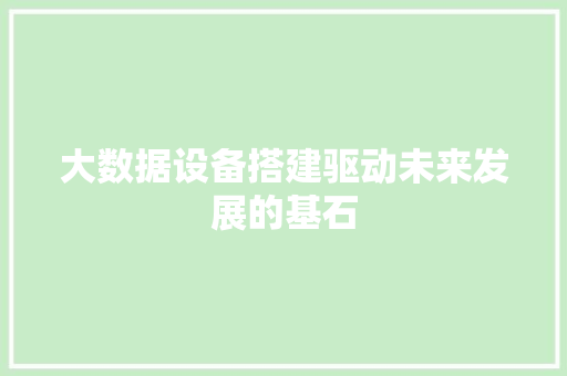 大数据设备搭建驱动未来发展的基石
