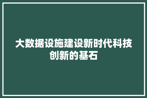 大数据设施建设新时代科技创新的基石