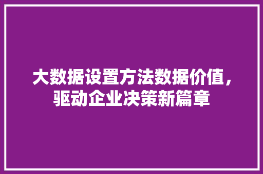 大数据设置方法数据价值，驱动企业决策新篇章  第1张