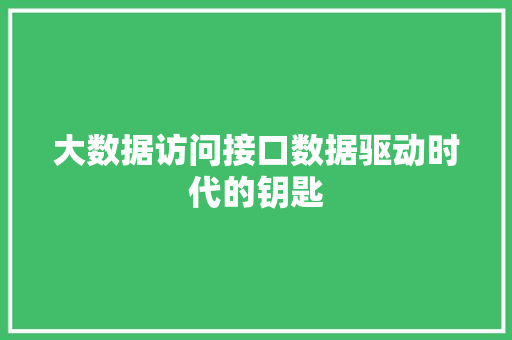 大数据访问接口数据驱动时代的钥匙