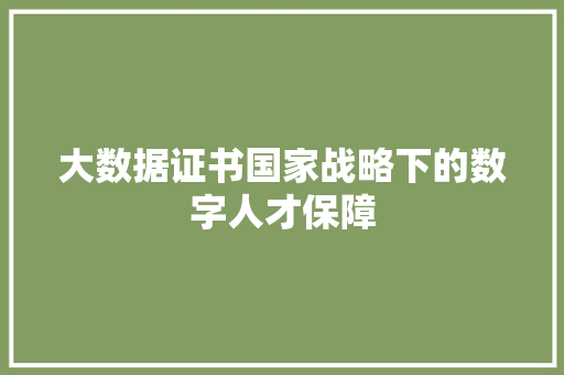 大数据证书国家战略下的数字人才保障