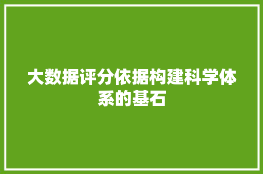 大数据评分依据构建科学体系的基石