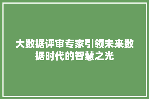 大数据评审专家引领未来数据时代的智慧之光