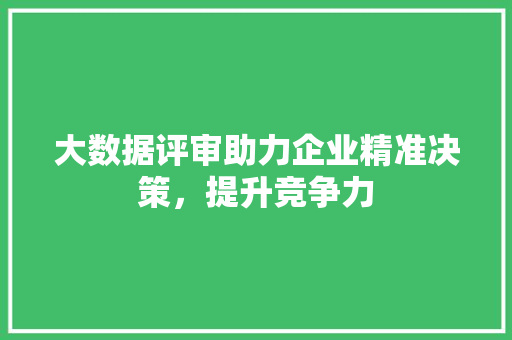 大数据评审助力企业精准决策，提升竞争力