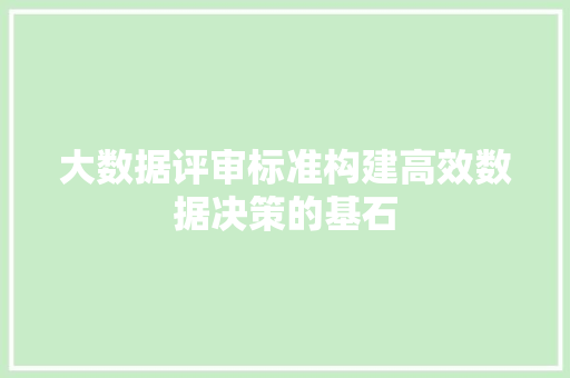 大数据评审标准构建高效数据决策的基石