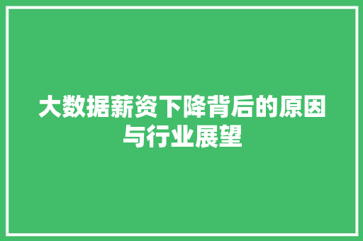大数据薪资下降背后的原因与行业展望  第1张