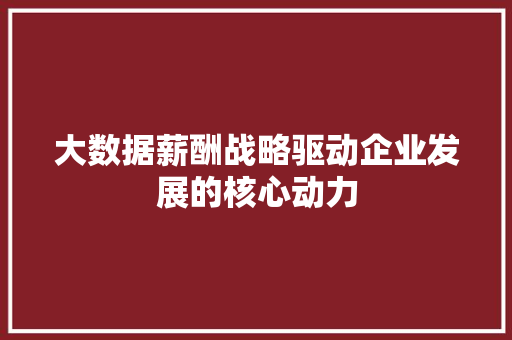 大数据薪酬战略驱动企业发展的核心动力  第1张