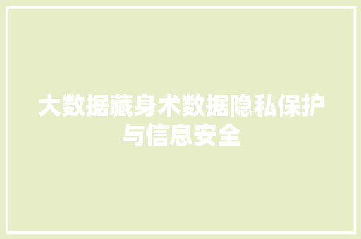 大数据藏身术数据隐私保护与信息安全