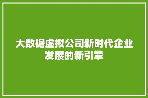大数据虚拟公司新时代企业发展的新引擎  第1张