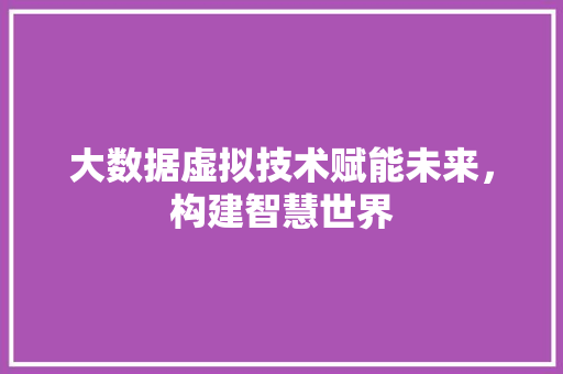 大数据虚拟技术赋能未来，构建智慧世界  第1张