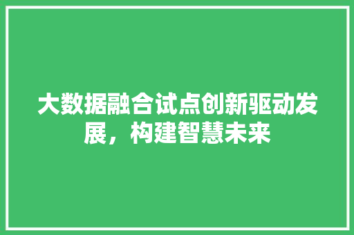 大数据融合试点创新驱动发展，构建智慧未来  第1张