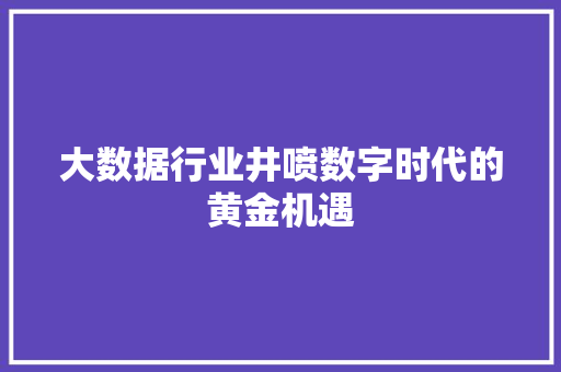 大数据行业井喷数字时代的黄金机遇  第1张