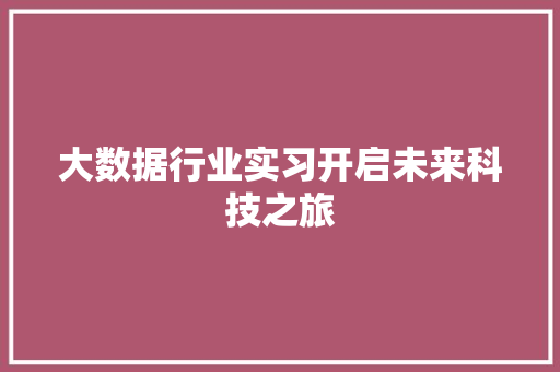 大数据行业实习开启未来科技之旅
